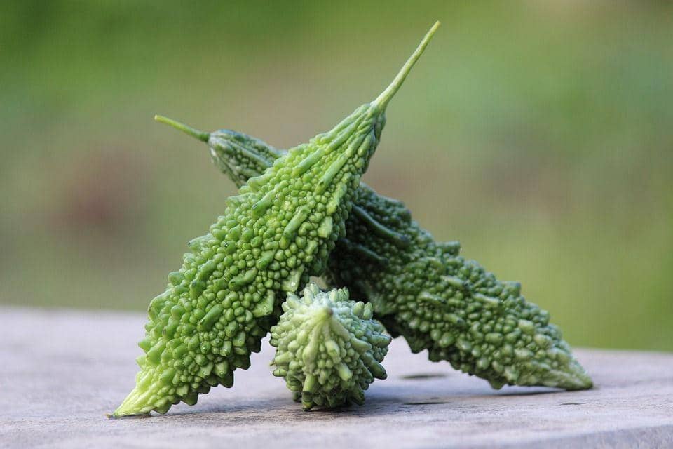 Ilustrasi pare berukuran sedang (pixabay.com/paresh85)