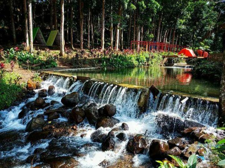 Sungai di Wisata Kampung Durian. (Instagram.com/amazingjember_)