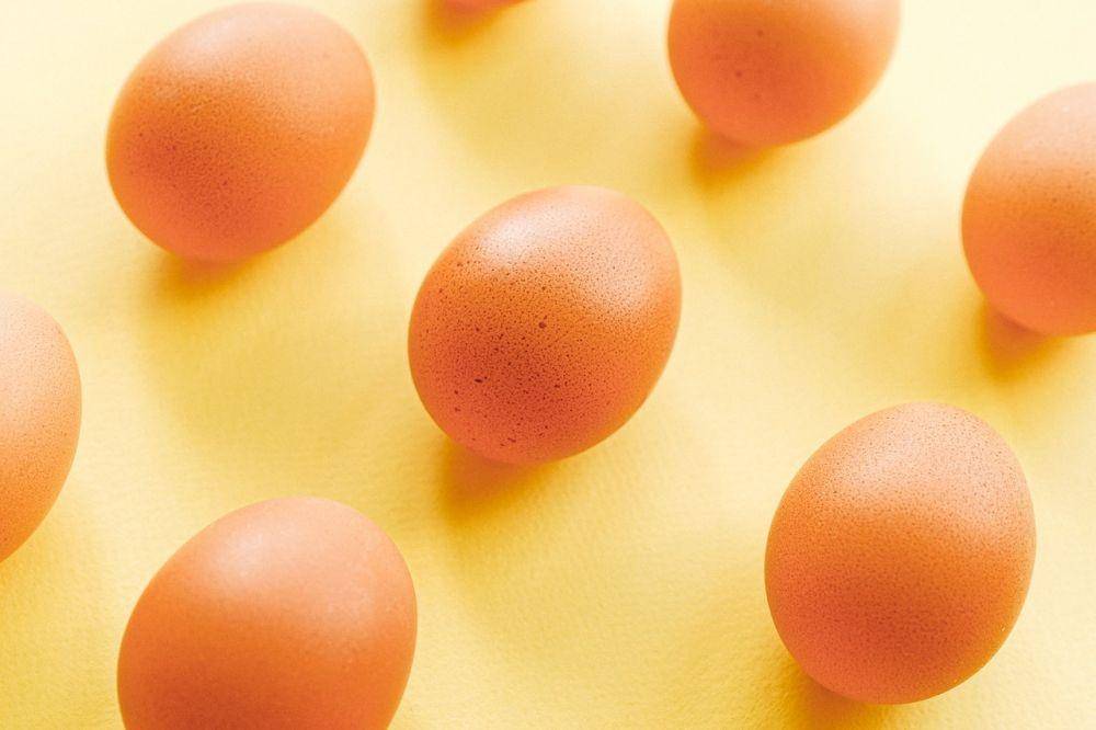 ilustrasi telur (pexels.com/Anna Shvets)