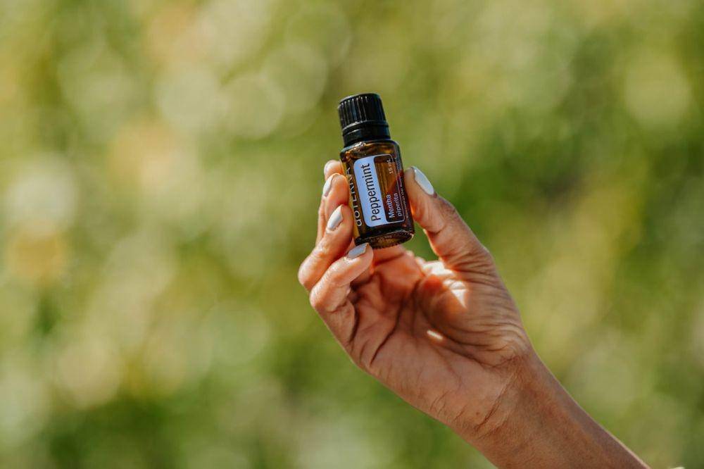 ilustrasi minyak peppermint (pexels.com/doTERRA International, LLC)