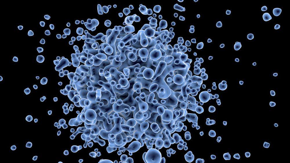 5 Jenis Infeksi Jamur yang Umum Menyerang Pasien HIV