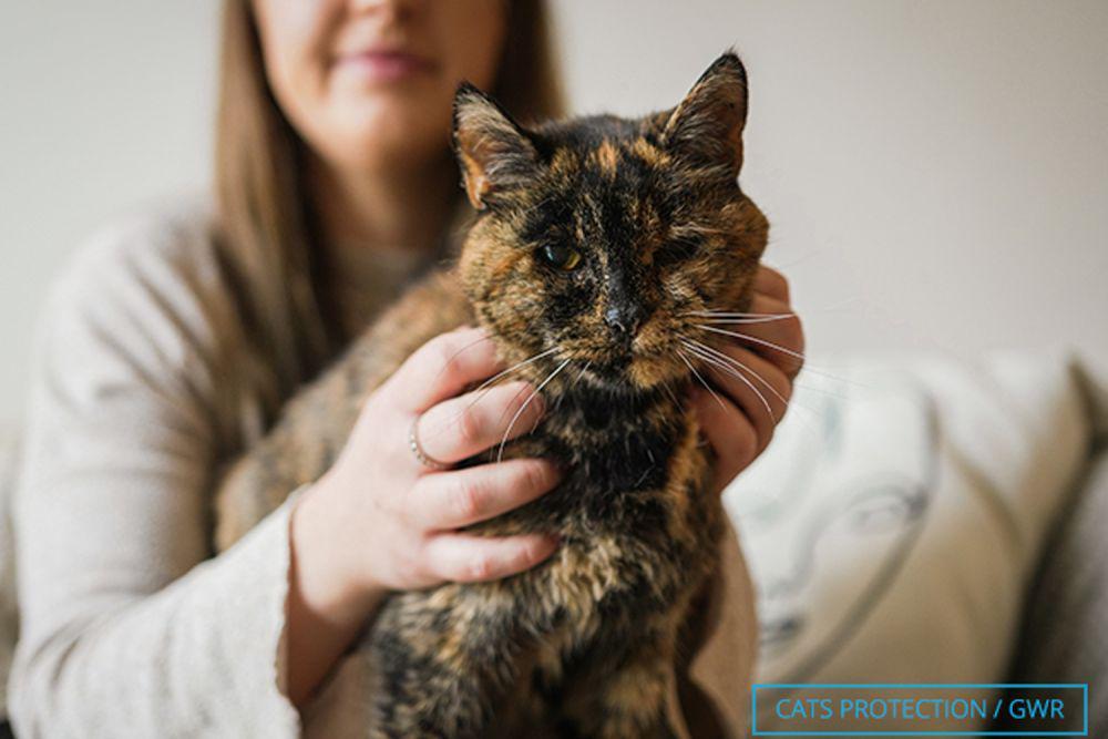 Kenalan sama Flossie, Kucing Tertua di Dunia yang Berusia 27 Tahun!