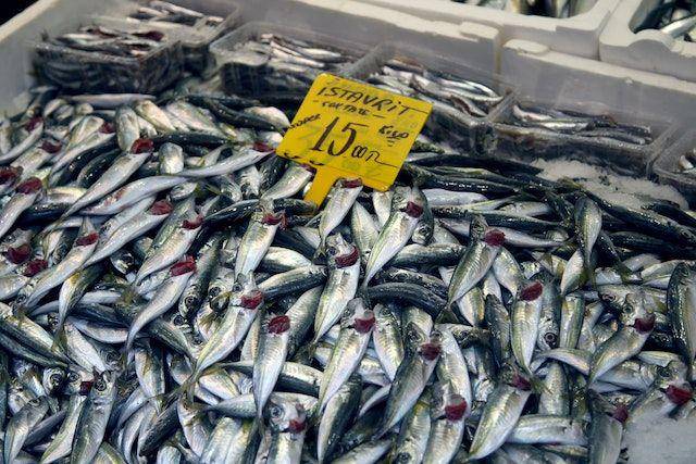 ilustrasi ikan teri basah yang sudah dibersihkan (pexels.com/Nikita Belokhonov)