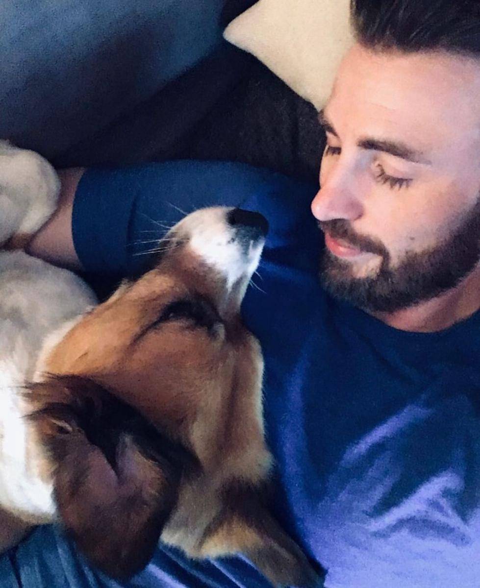 Chris Evans dan anjingnya Dodger (instagram.com/chrisevans)