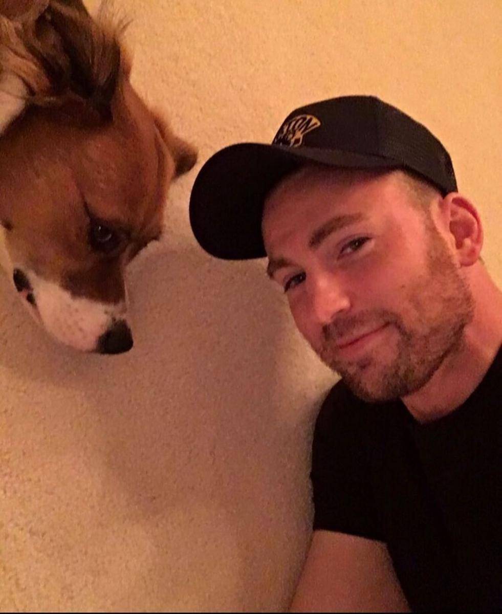 Chris Evans dan anjingnya Dodger (instagram.com/chrisevans)
