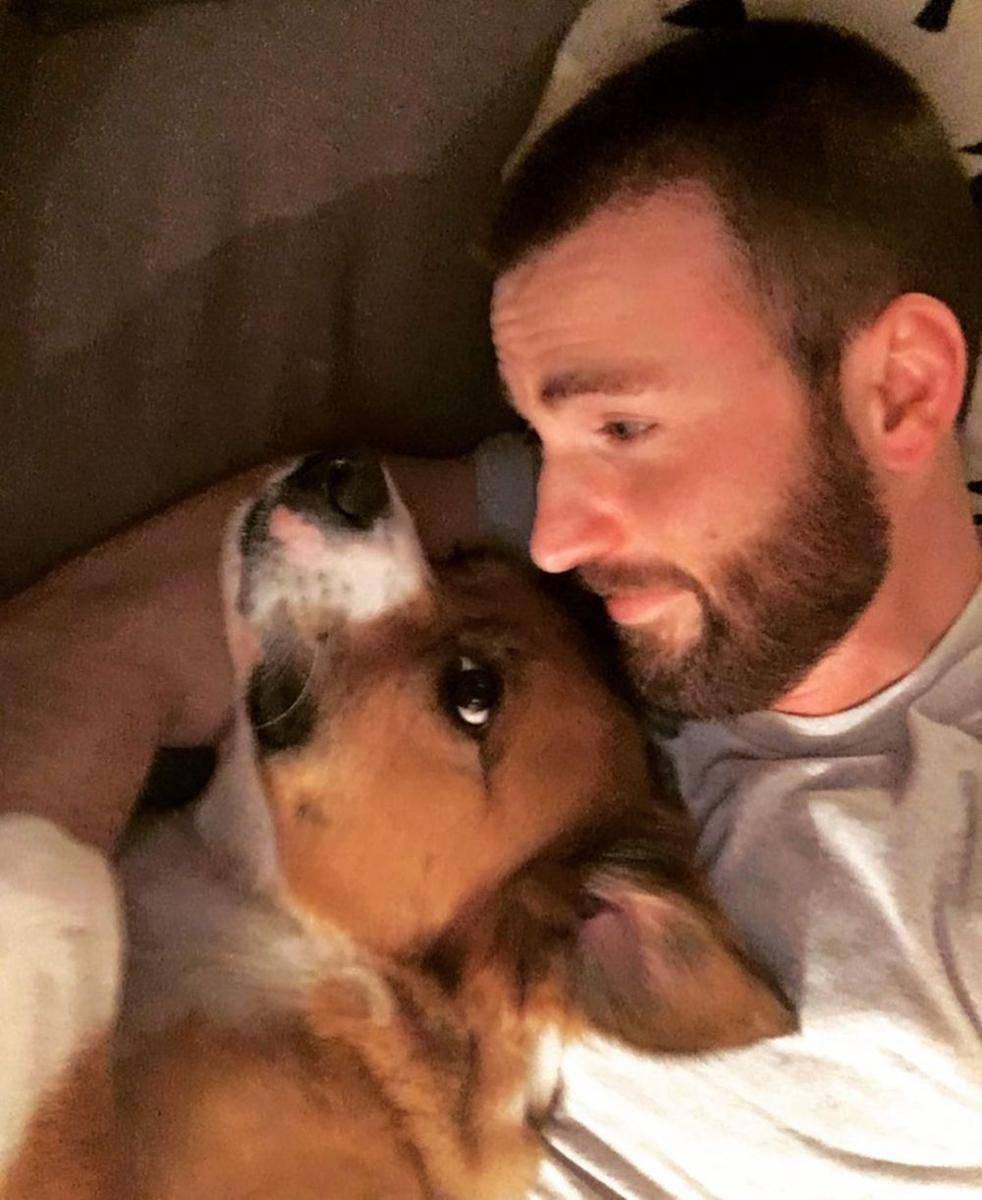 Chris Evans dan anjingnya Dodger (instagram.com/chrisevans)