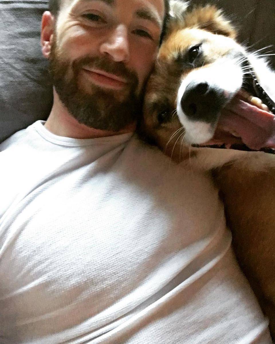 Chris Evans dan anjingnya Dodger (instagram.com/chrisevans)