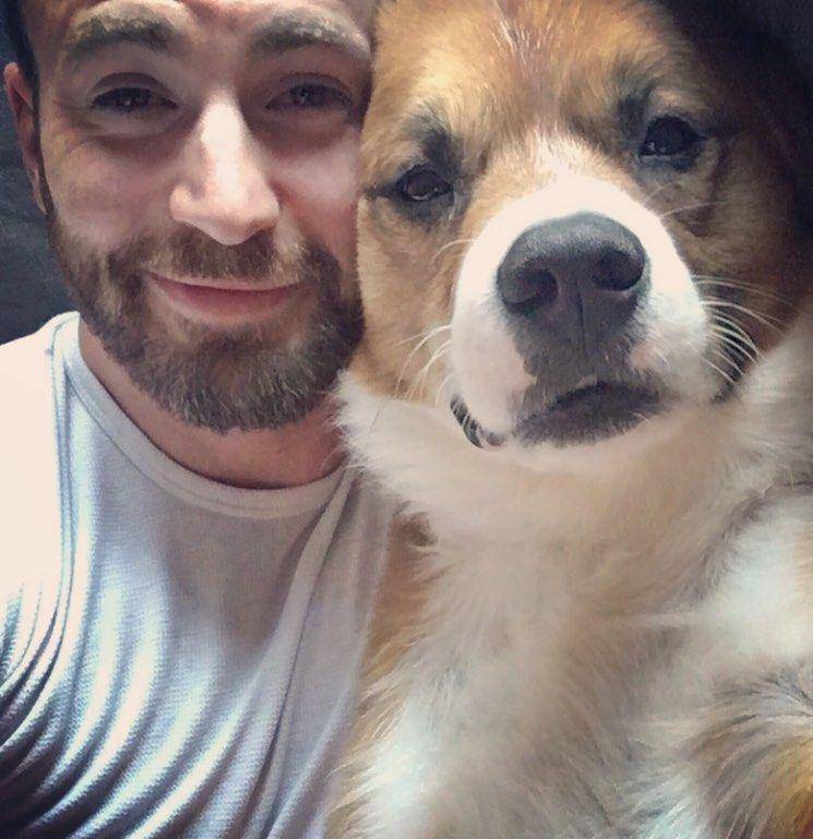 Chris Evans dan anjingnya Dodger (instagram.com/chrisevans)