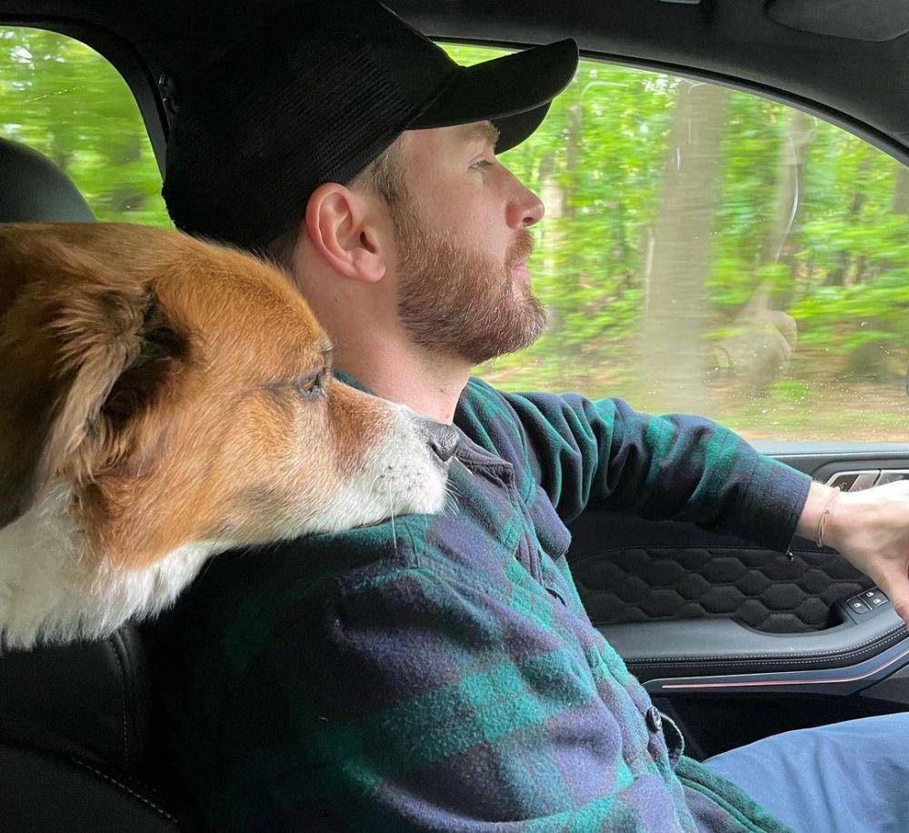 Chris Evans dan anjingnya Dodger (instagram.com/chrisevans)