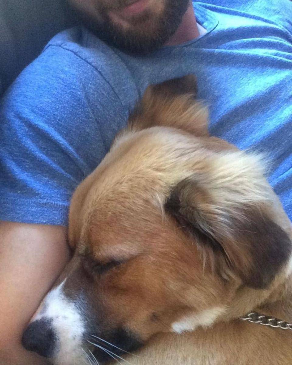 Chris Evans dan anjingnya Dodger (instagram.com/chrisevans)