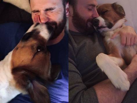 Chris Evans dan anjingnya Dodger (instagram.com/chrisevans)