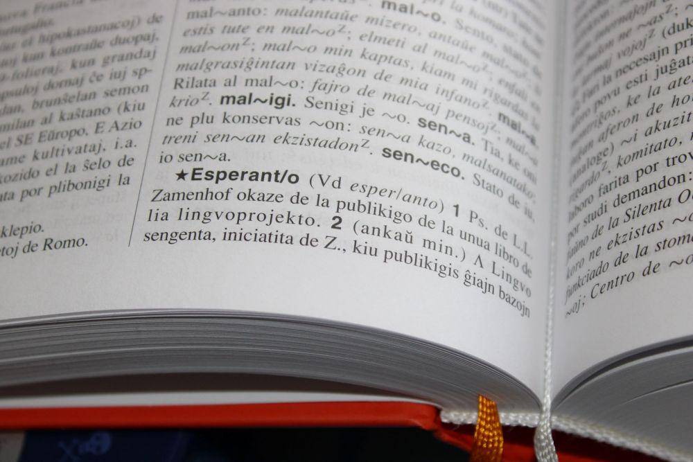 bahasa asing (pexels.com/stefan-g)