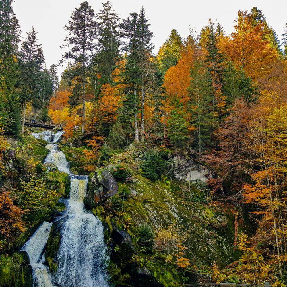 Triberg Waterfalls (instagram.com/maaa.nutella)