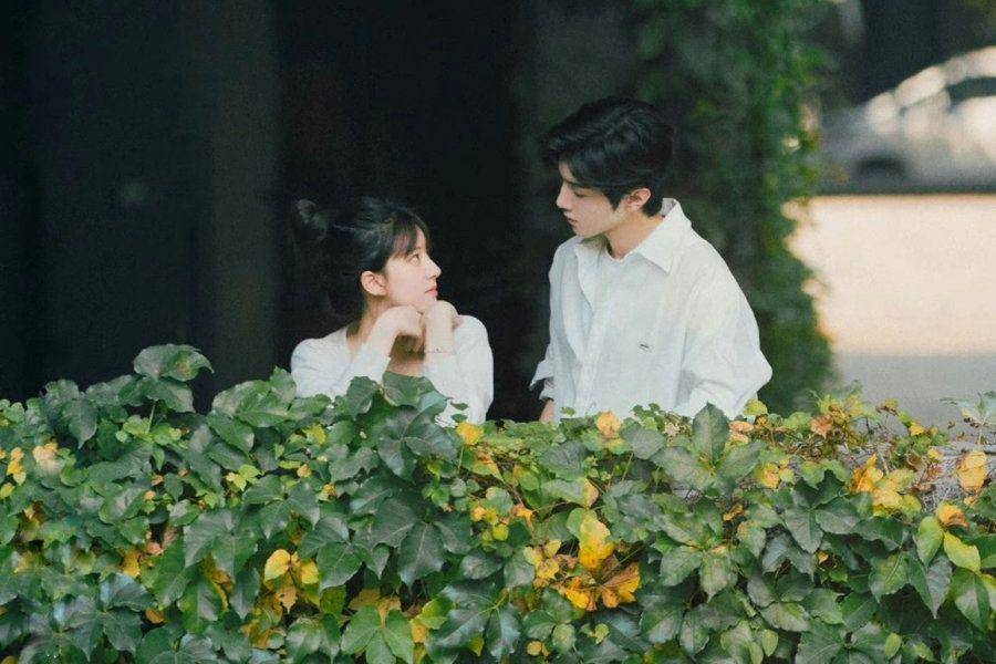 cuplikan penampilan Chen Zheyuan dan Zhao Lusi di drama Hidden Love (dok. Youku/Hidden Love)