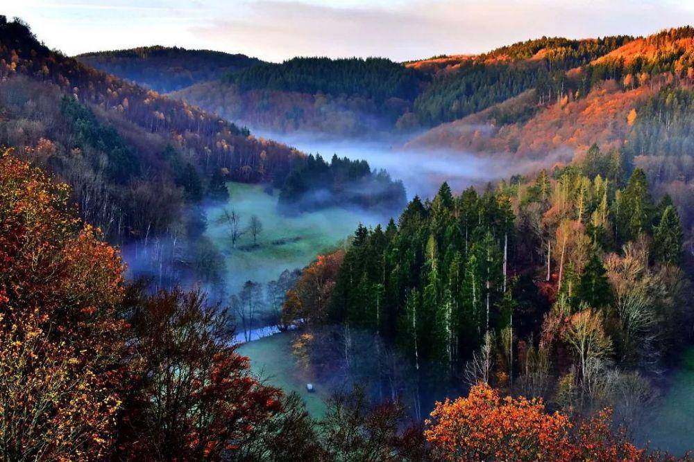 Eifelsteig Trail (instagram.com/deverviers64)