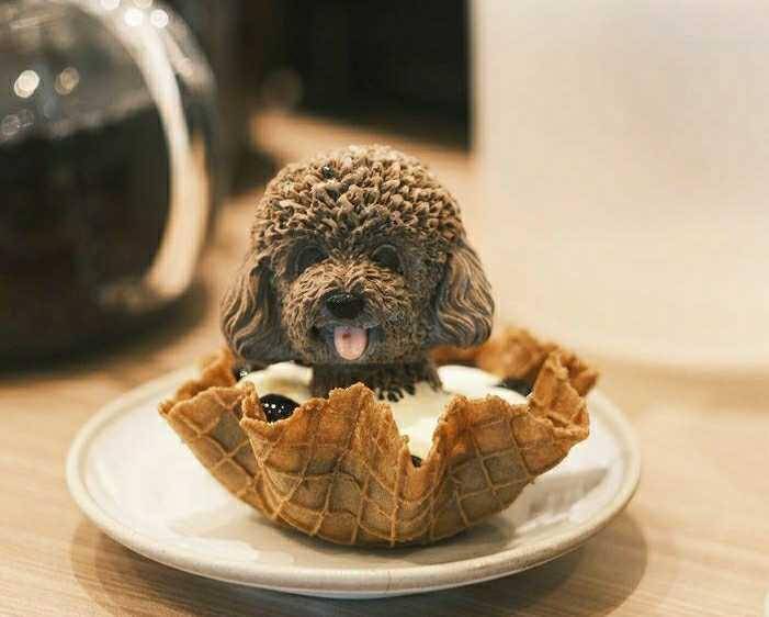 C For Cupcakes and Coffee(instagram.com/cforcupcakes.coffee)