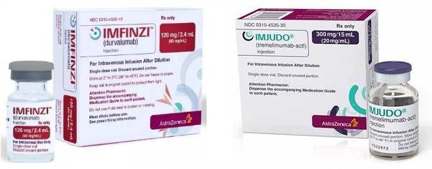 kombinasi Imfinzi dan Imjudo (hep.cmt.com.cn)