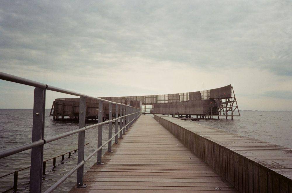 Kastrup Sea Bat (unsplash.com/discofairy)