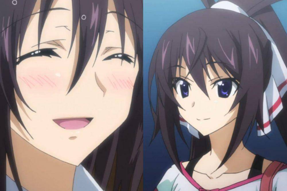 Houki Shinonono dari Infinite Stratos (dok. Eight Bit/Infinite Stratos)