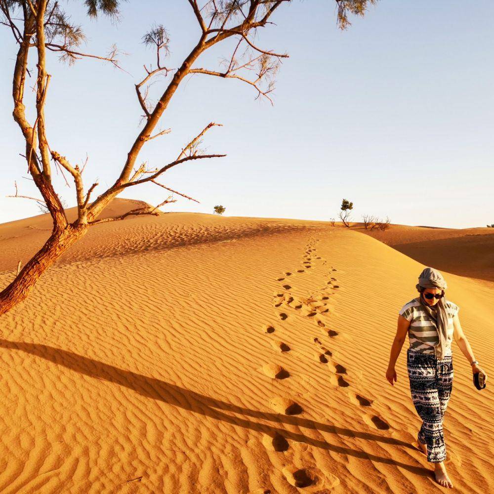 gurun sahara (unsplash.com/cassiesmart)