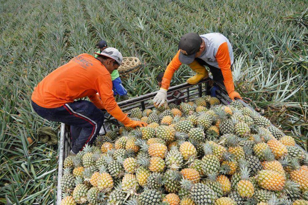 Dok. Pemkab Kediri