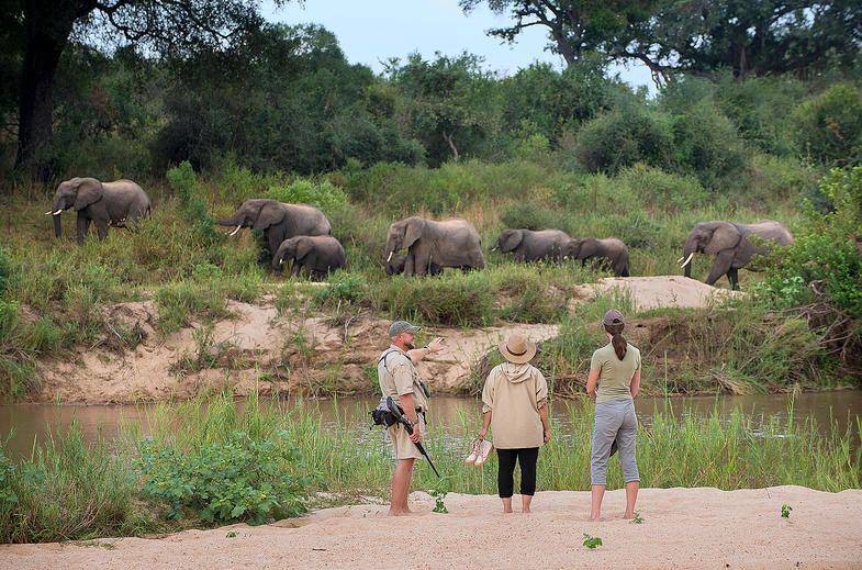 ilustrasi jalan-jalan di Taman Nasional Kruger (krugerpark.org)