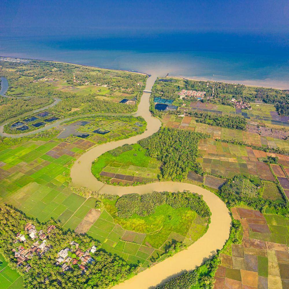Ilustrasi Pulau Kalimantan (Pexels)