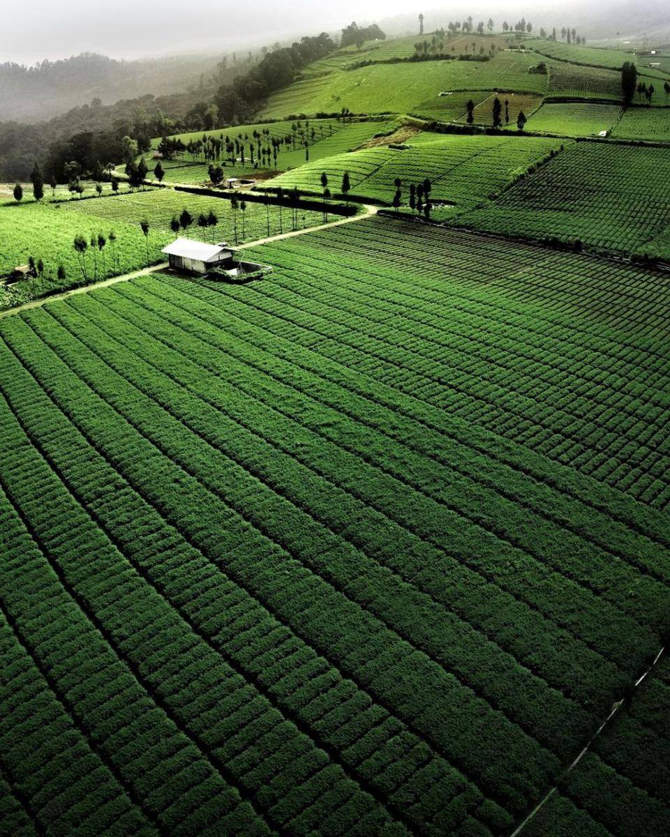 Puncak Brakseng (instagram.com/misbahafef27)