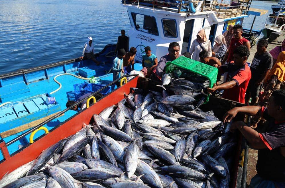 Nelayan melakukan bongkar muat ikan cakalang hasil tangkapannya di Pelabuhan Perikanan Panambuang Pulau Bacan, Halmahera Selatan, Maluku Utara, Jumat (9/12/2022). ANTARA FOTO/Andri Saputra/YU/tom