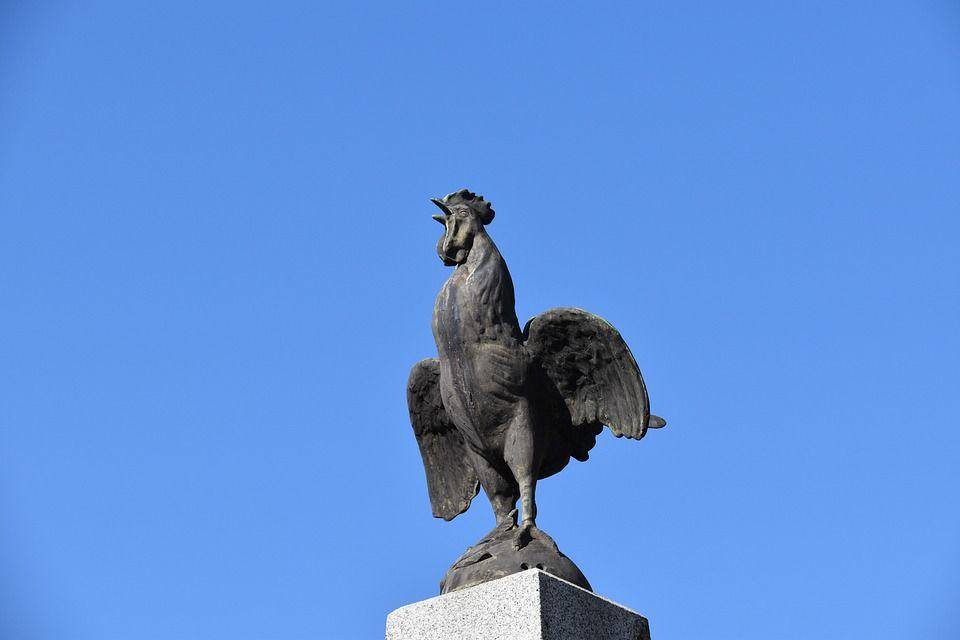 France Symbol (/pixabay.com/photos/rooster)
