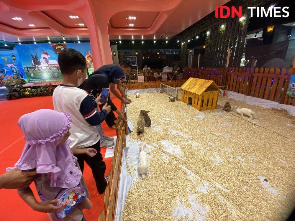 Suasana hadirnya Bunny Farm season 5 di Ringroad City Walk (IDN Times/Indah Permata Sari)