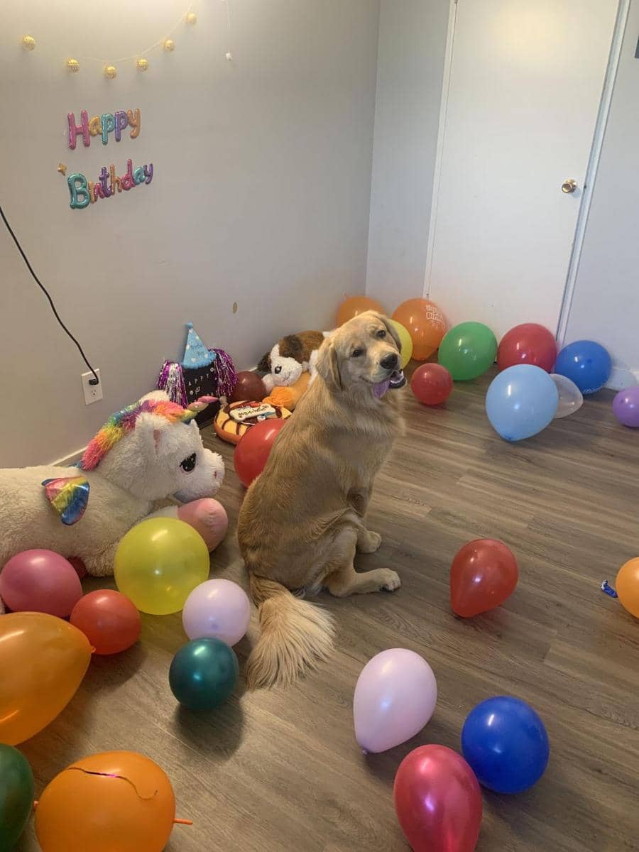 potret hewan bertingkah kayak balita (reddit.com/user/SelectionOld4378)