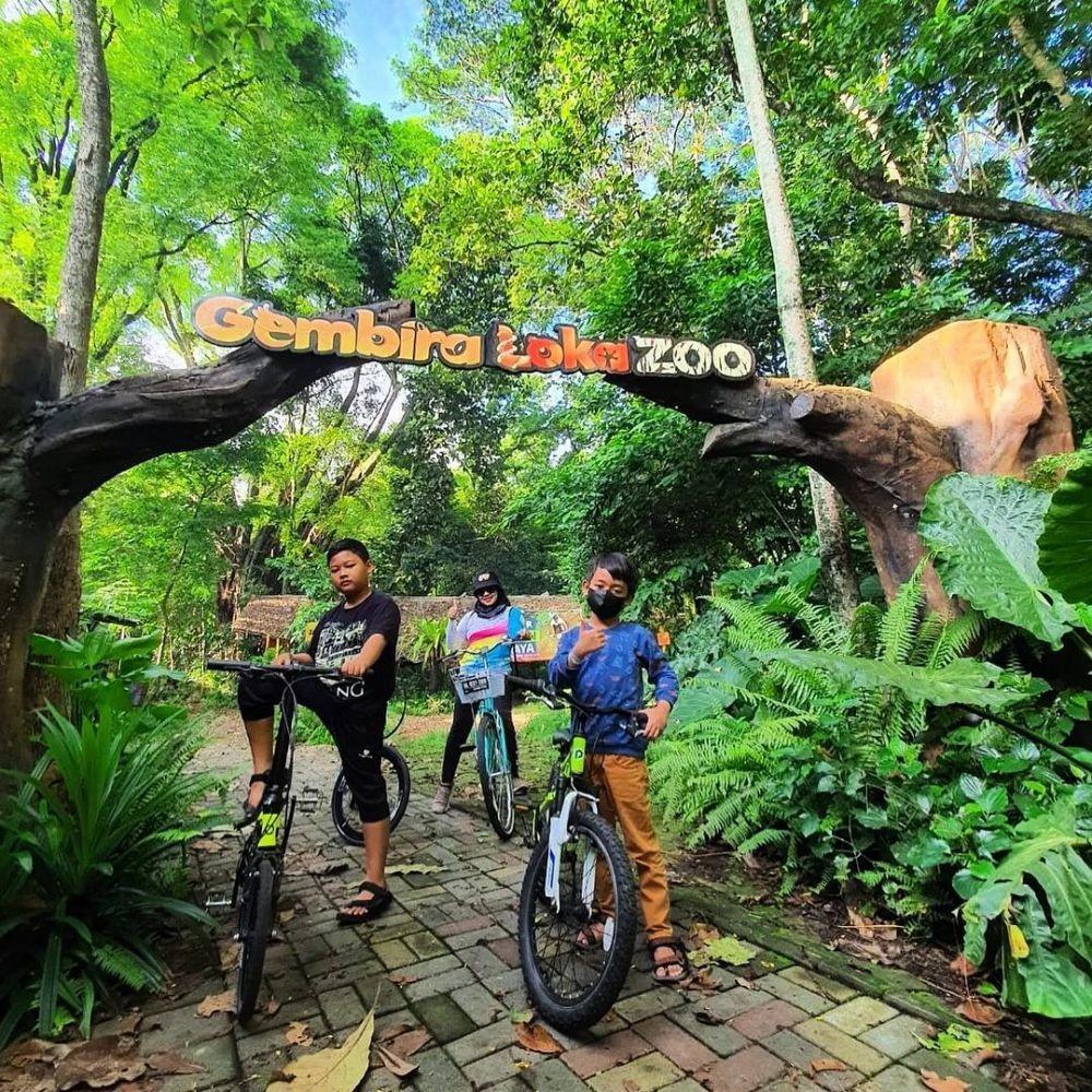 Sambut Libur Imlek, Gembira Loka Zoo Tambah Koleksi Satwa Monyet