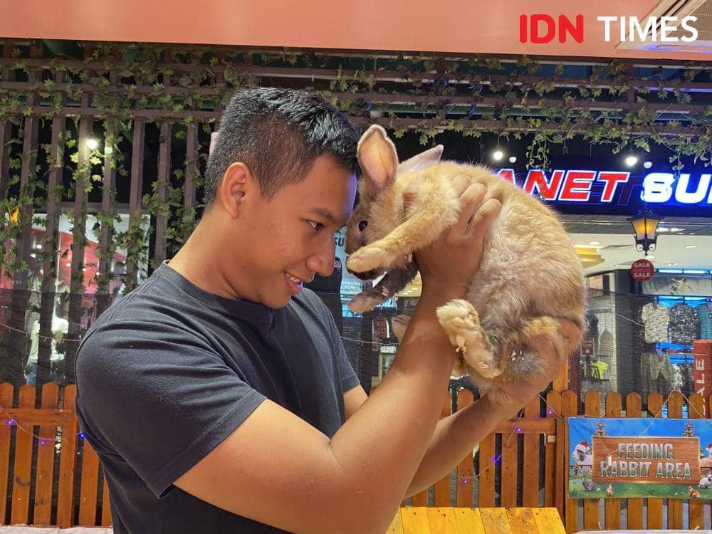 Aditya selaku penyelenggara Bunny Farm (IDN Times/Indah Permata Sari)