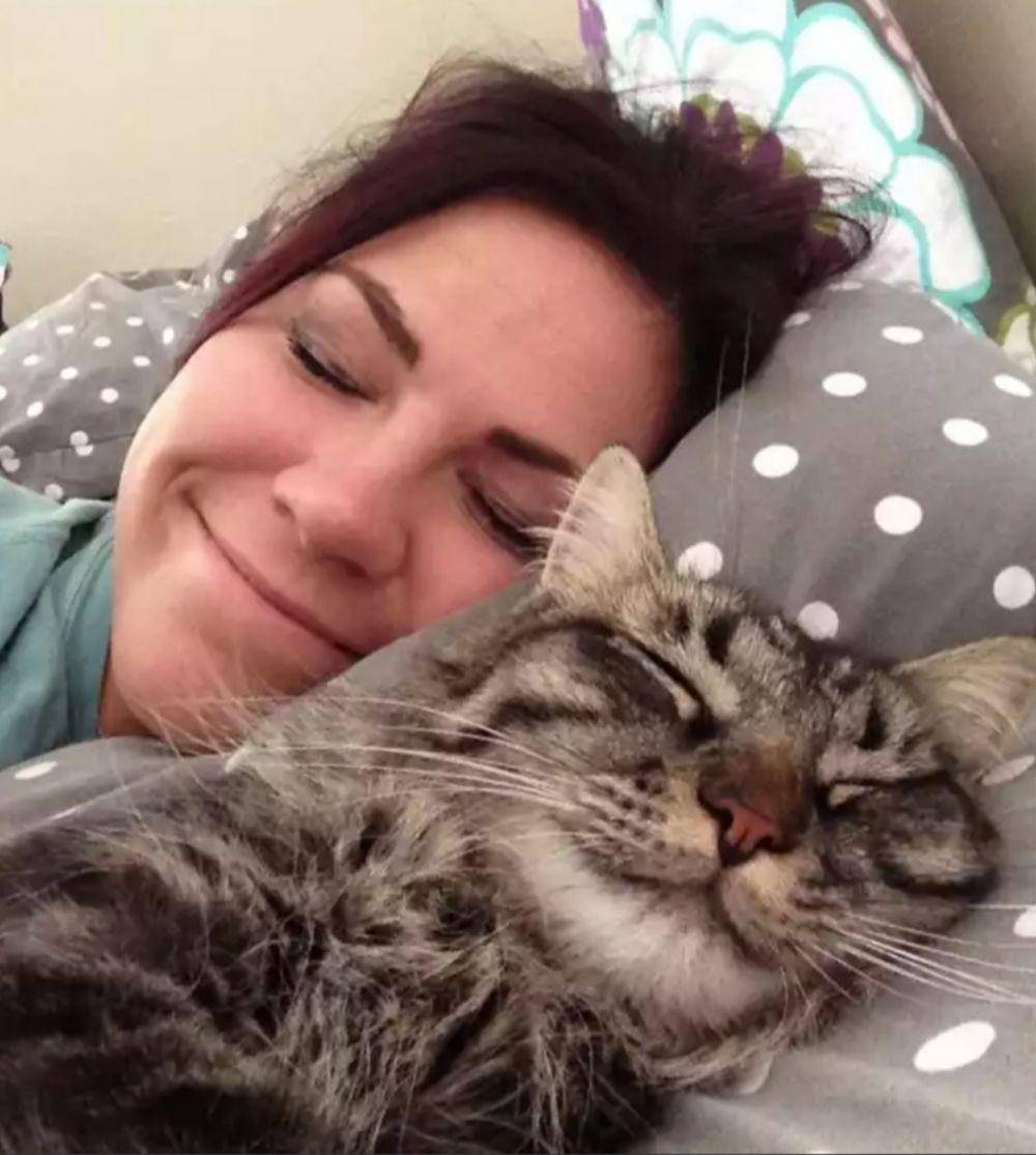hewan dan pemiliknya mirip (imgur.com)