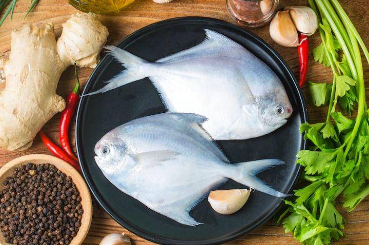 ikan bawal/pomfret fish (freepik.com/dashu83)