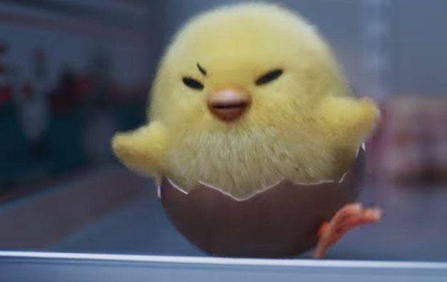 Shakipiyo (instagram.com/netflixjp)