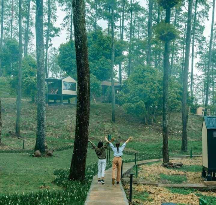 Suasana alam di Bobocabin Padusan. (Instagram/bobocabin)