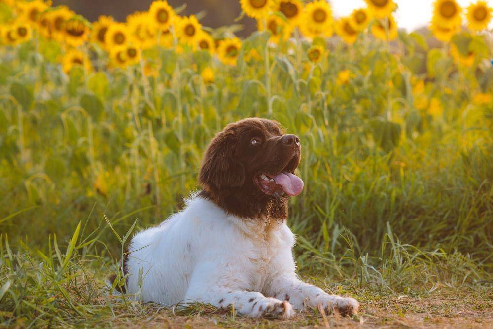Unsplash/Reba Spike