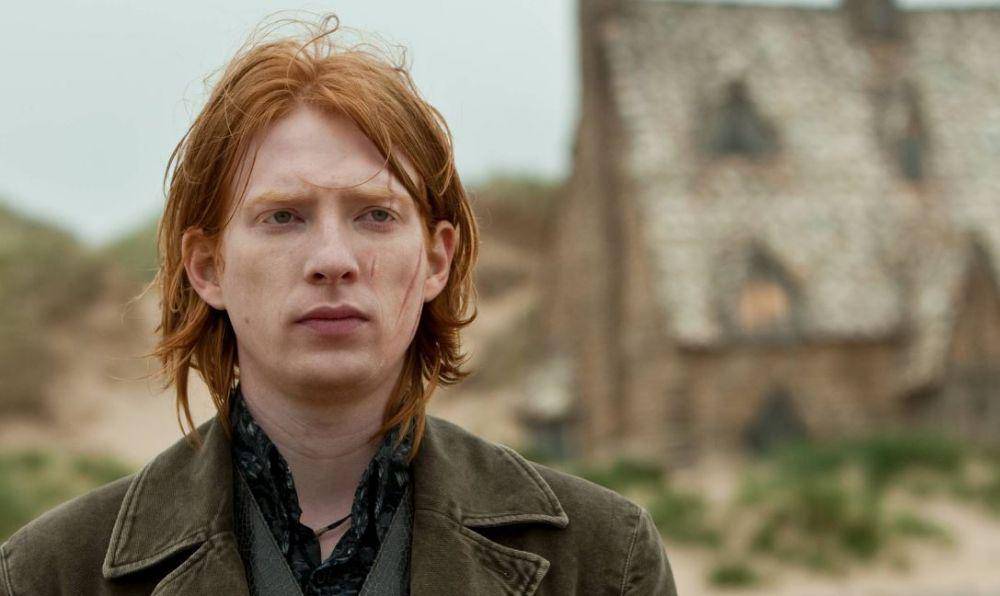 Bill Weasley (dok. Warner Bros./Harry Potter and the Deathly Hallows)