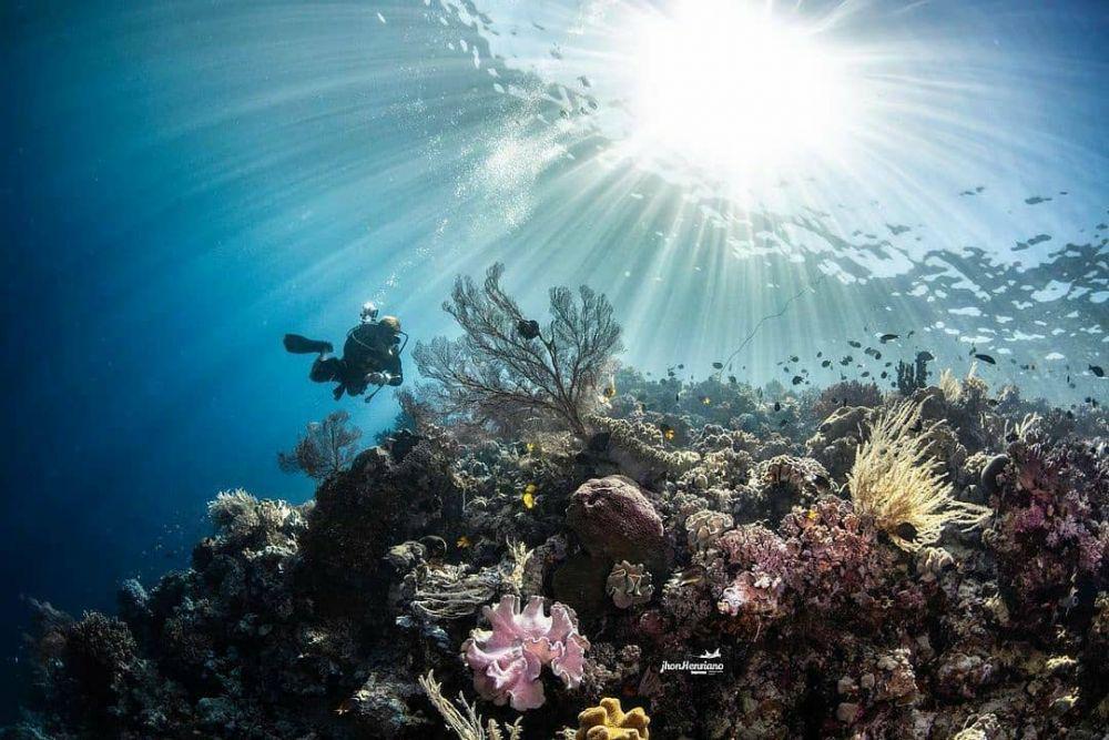 6 Fakta Menarik Wakatobi, Surga di Sulawesi Tenggara