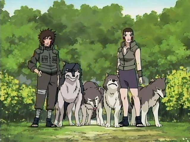 Tsume Inuzuka, Hana Inuzuka (dok. Pierrot/Naruto Shippuden)