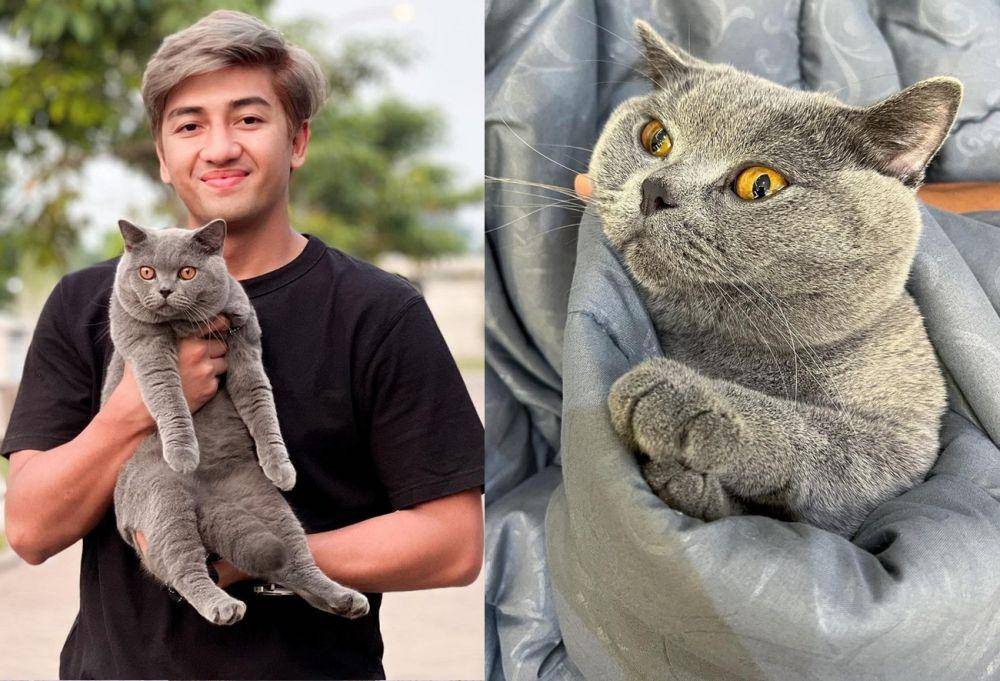 potret kucingnya Harris Vriza (instagram.com/harrisvriza/ | instagram.com/locobsh/)