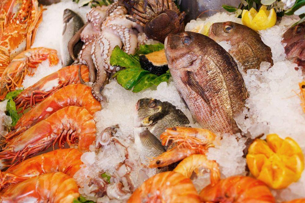 Ilustrasi seafood (pixabay.com/ Publicdomainpictures)