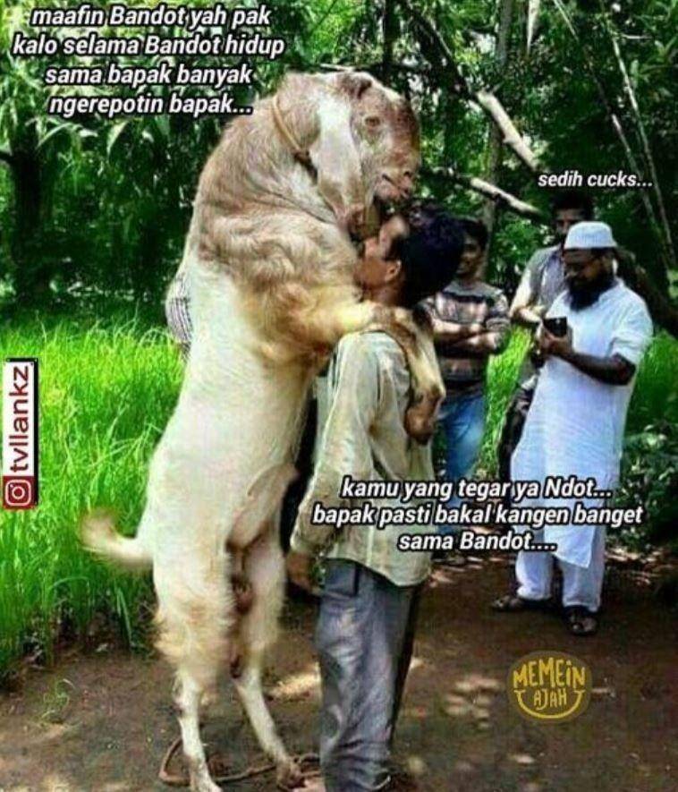 meme paling viral 2022 (instagram.com/tvllankz)