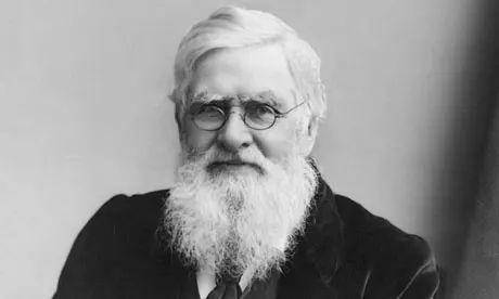 Alfred Russel Wallace (theguardian.com)