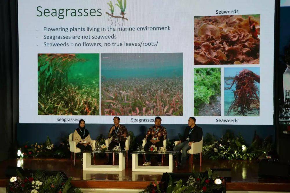aplikasi CISE untuk menghitung karbon di padang lamun/seagrass (brin.go.id)