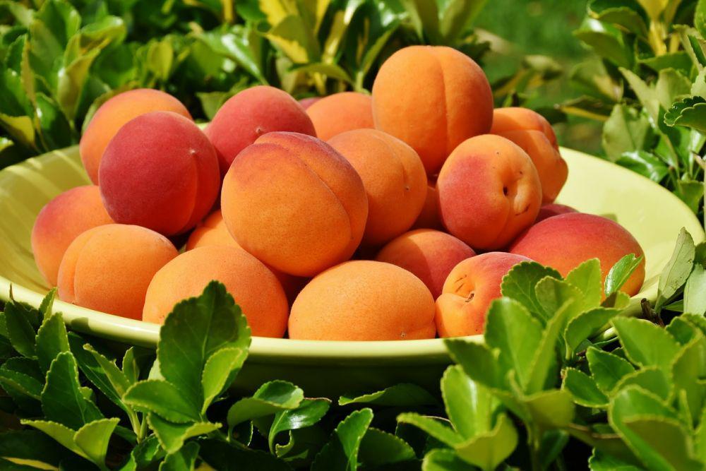 5 Inspirasi Menu dari Buah Persik ala Thailand yang Harus Kamu Coba