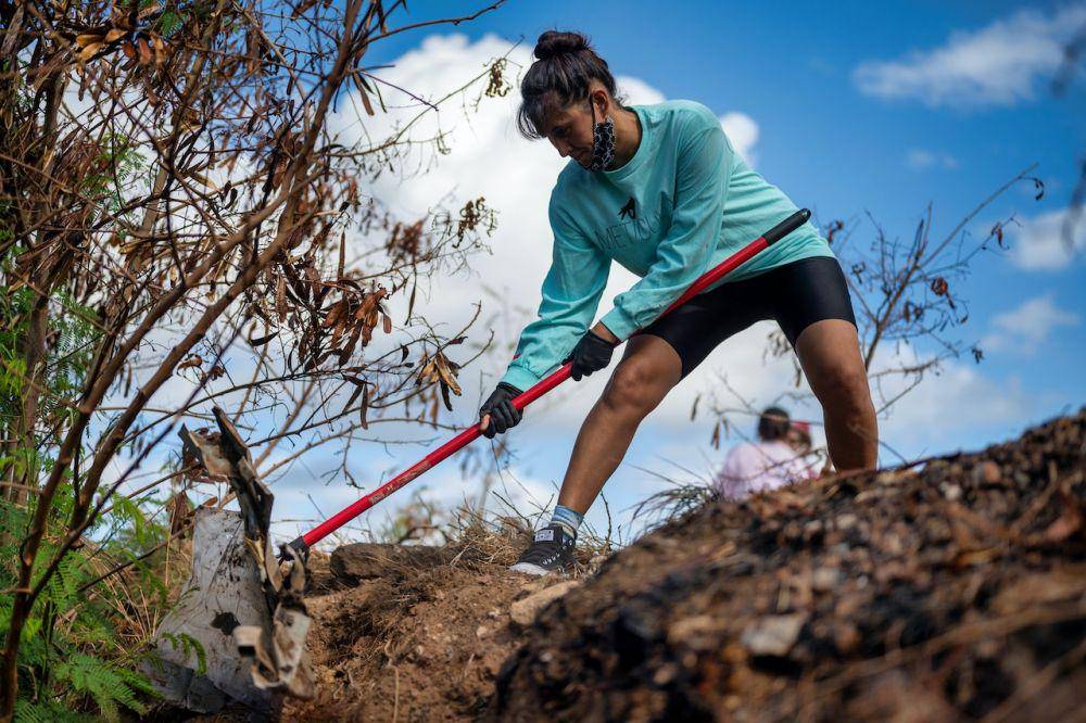 ilustrasi orang membersihkan sampah di lingkungan sekitar (pexels.com/Alfo Medeiros)
