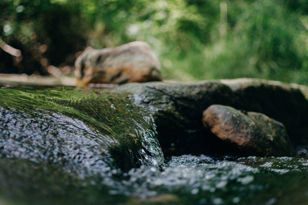 ilustrasi sungai (Pexels.com/Max Andrey)